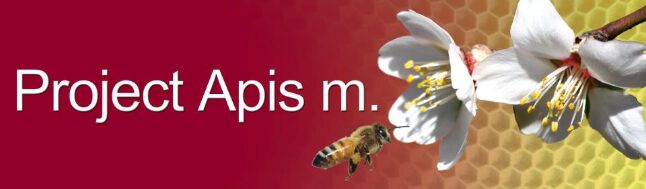 Project Apis m